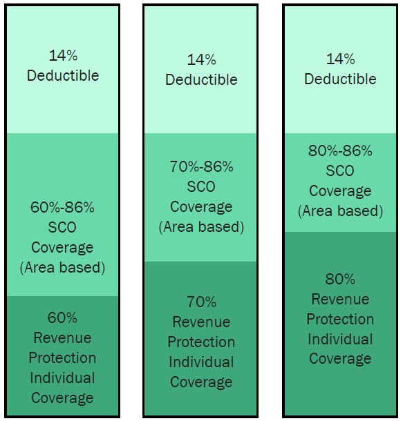 Supplemental Coverage Option (SCO)
