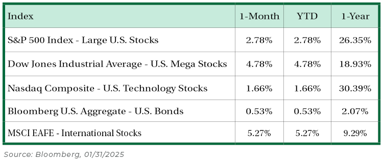 Stock Performance Table Feb 2025